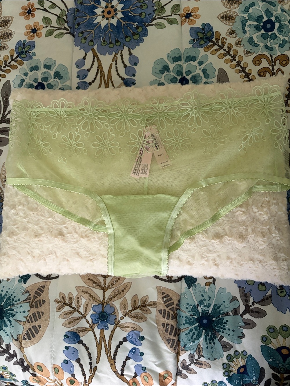Victoria’s Secret Sheer Floral Lace cheeky Briefs in Light Green XL